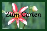 Zum Garten